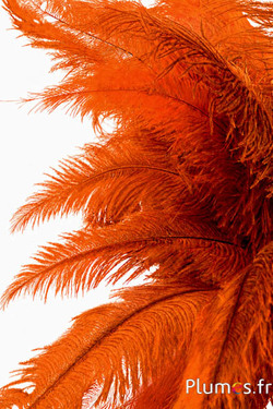 Strauss - 32-42 cm - hellgrau-orange